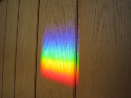 光のスペクトル♪