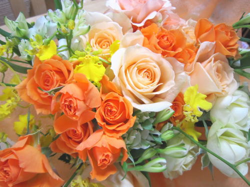 元気のもと、オレンジ＆イエロー