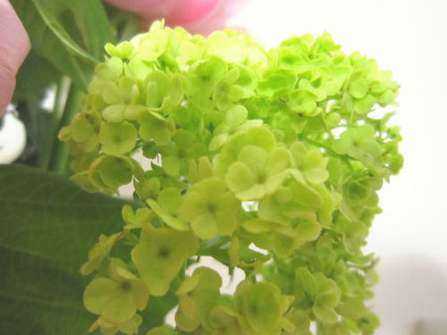 上手にリフレッシュしましょう