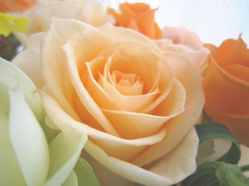 まったりと過ごす休日