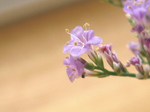 固定概念を外してみる