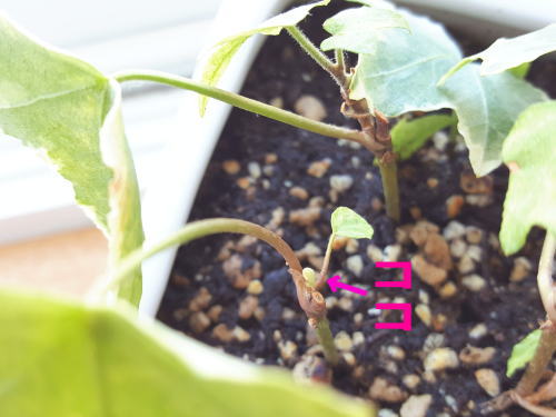 意識が変わると・・・