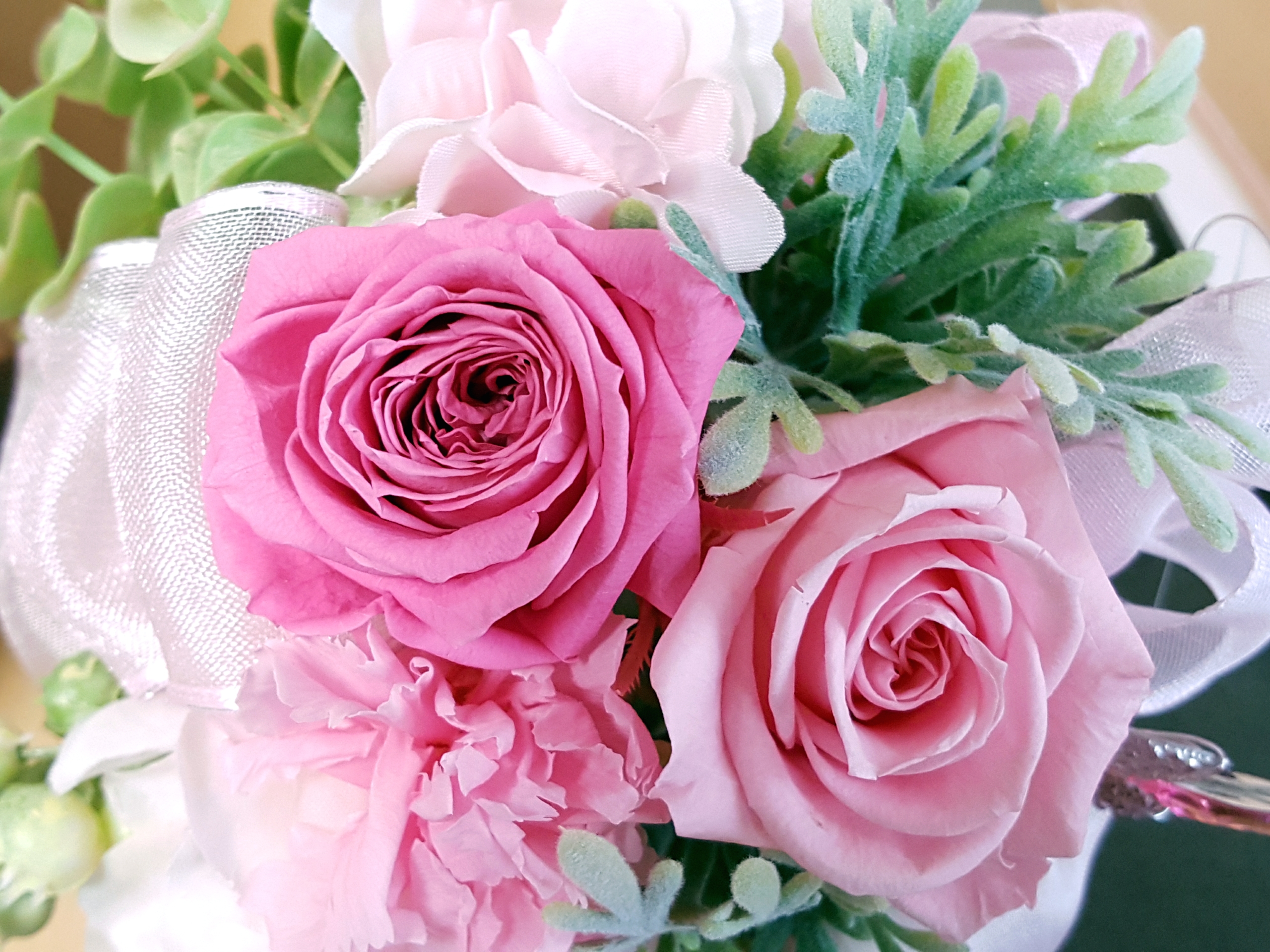 柔らかさをまとった強さと行動力を身につけましょう