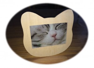 12235140_928406370573496_423518453048381969_n