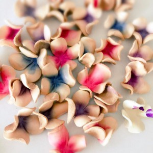 12316554_693793657388215_5142548653105267942_n