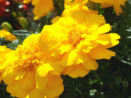 意思を持って自分の軸を整える