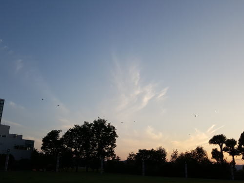 人間関係が原因で、気持ちが落ち込んだ時におススメの方法