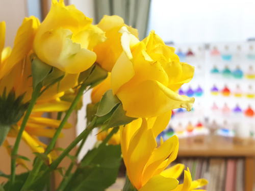 勉強が楽しくなる色