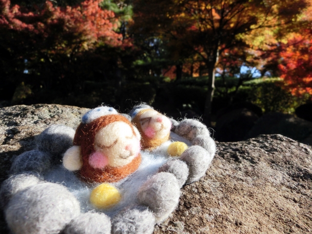 2016年ありがとうございました♪