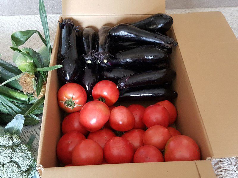 毎年恒例！感謝の収穫祭？