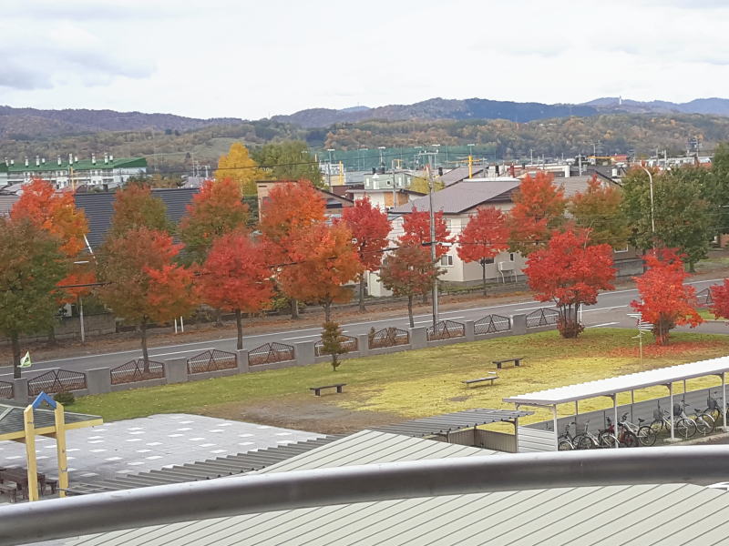 秋も深まり・・・1年の振り返りをする季節です♪