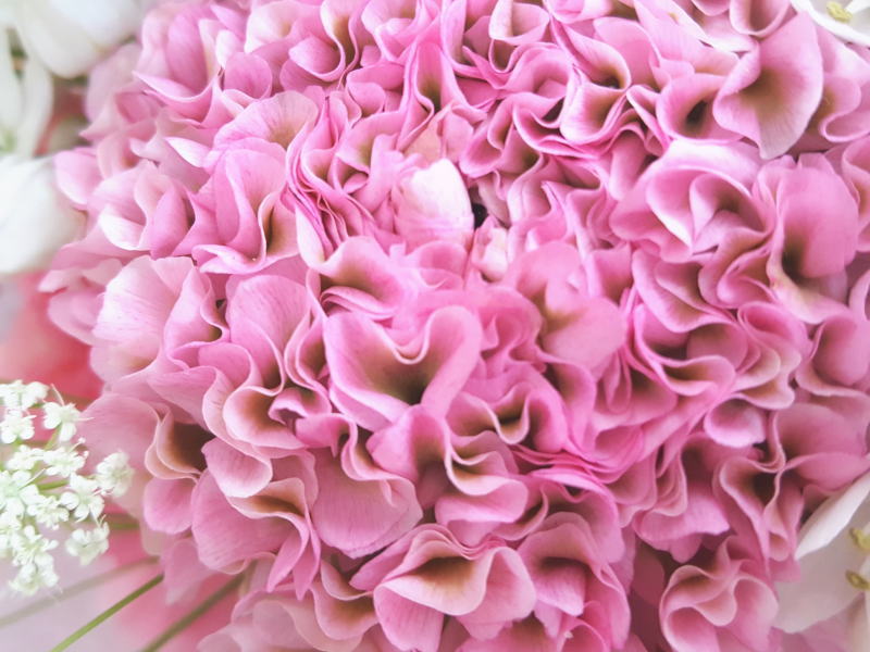 カラーセラピーセルフメンテナンス講座終了！