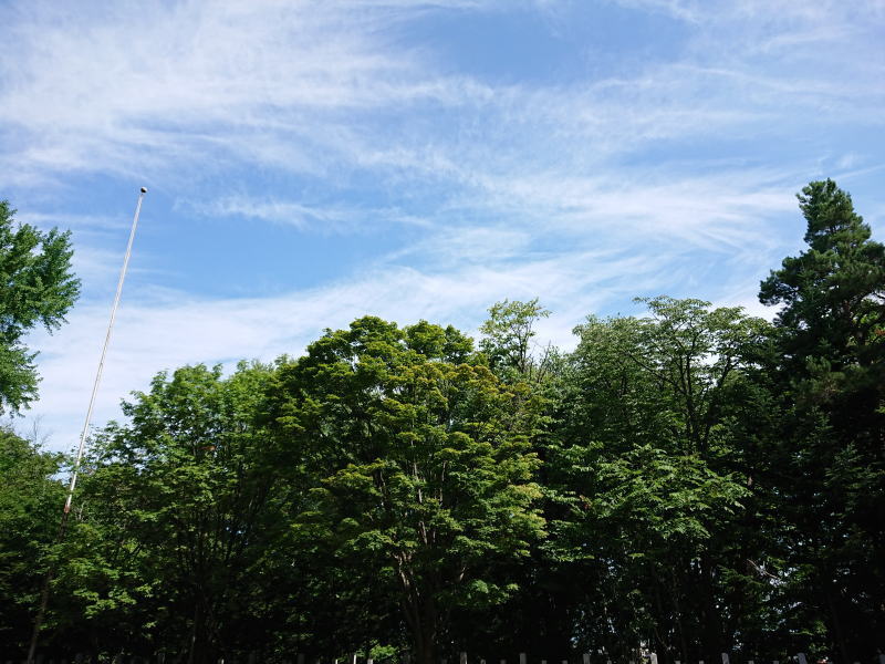 心を落ち着ける時間を作っていますか？