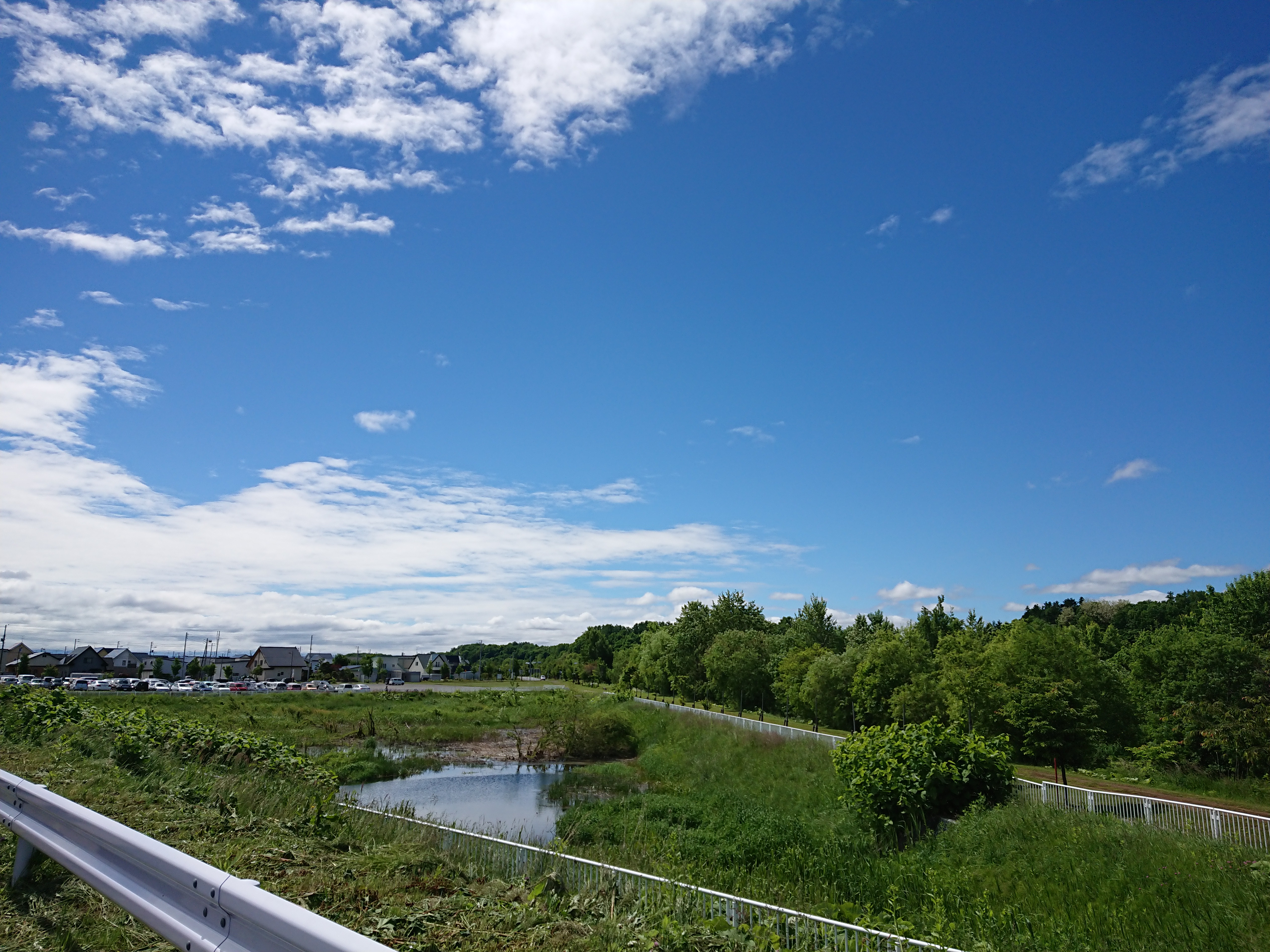 呼吸が整うと心も整う♪忙しい時だからこそ深呼吸を！