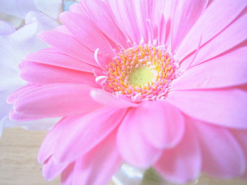 受け取り下手のあなたへ