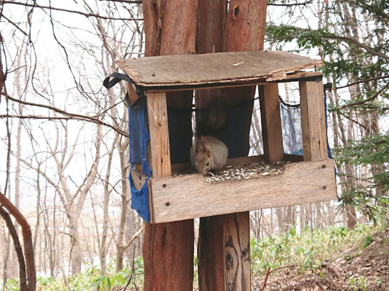 悩みは共通？相談内容から見える業界の課題
