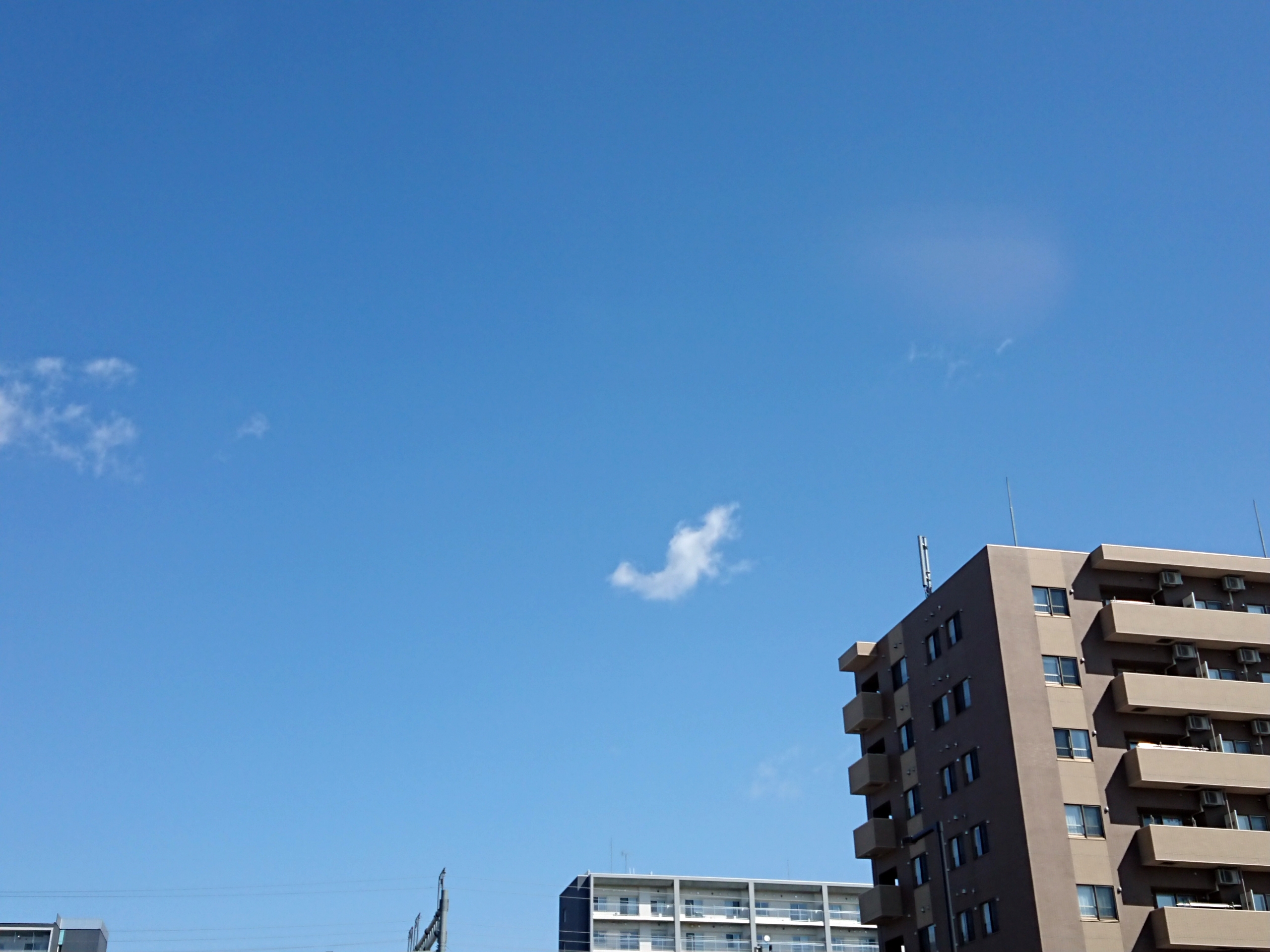 希望を込めて・・・