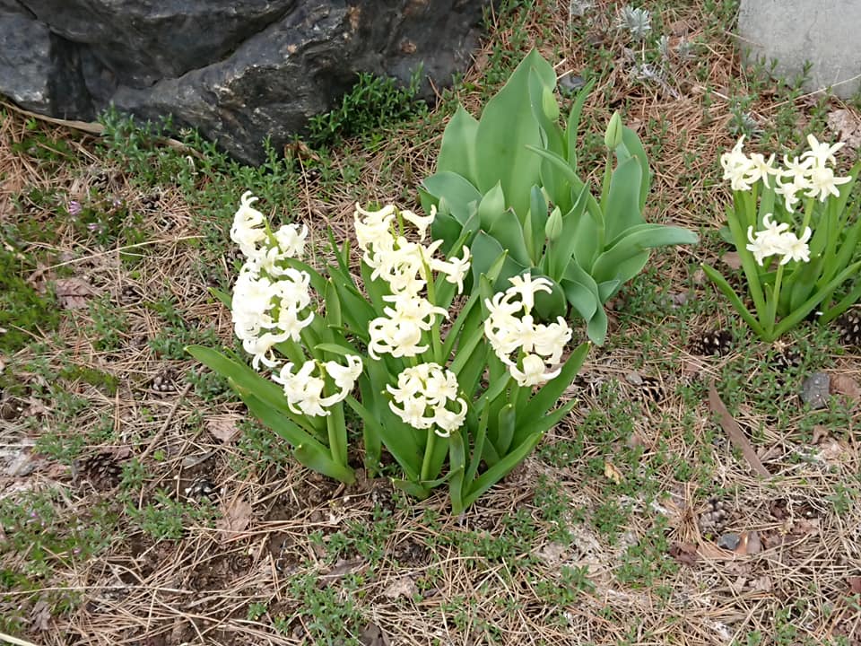今月も神頼み♪新しい平和を願って・・・