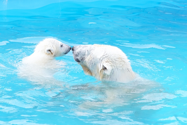 人間関係の悩みの根っこ・・・初めての社会経験が影響している
