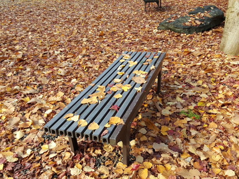 秋色で心を落ち着かせる