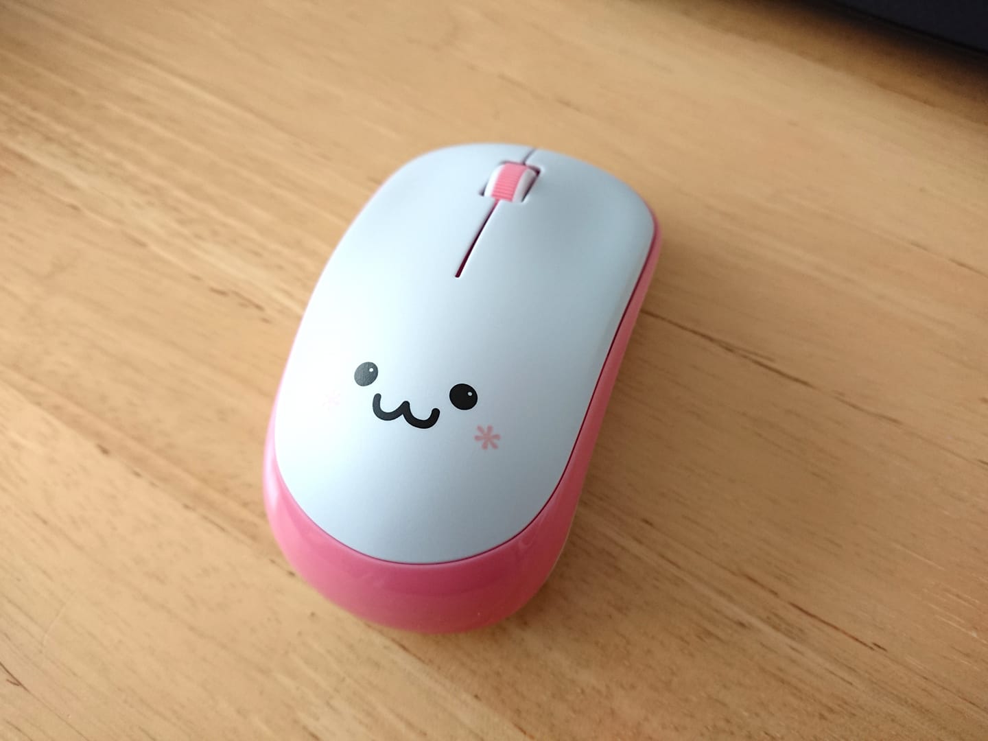 新しい仲間がまたひとつ・・・