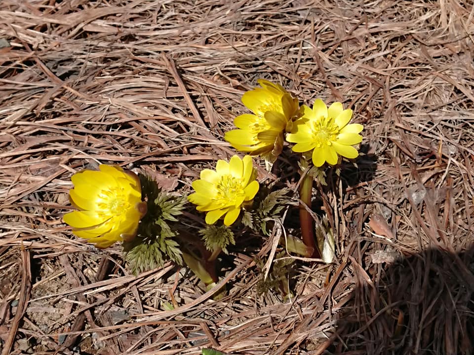 新年度スタート！気持ちも新たに次のステップへ