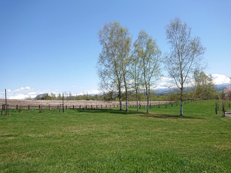 気分転換していますか？見慣れた光景が癒しになる