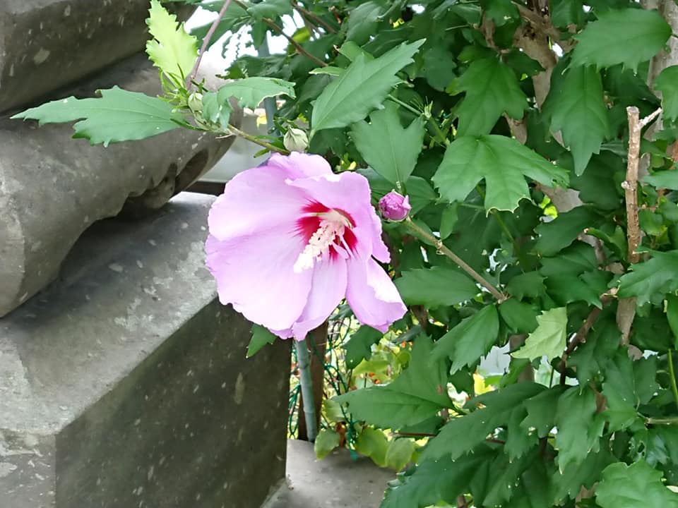 9月ですよ～～！今月もよろしくお願い致します♪