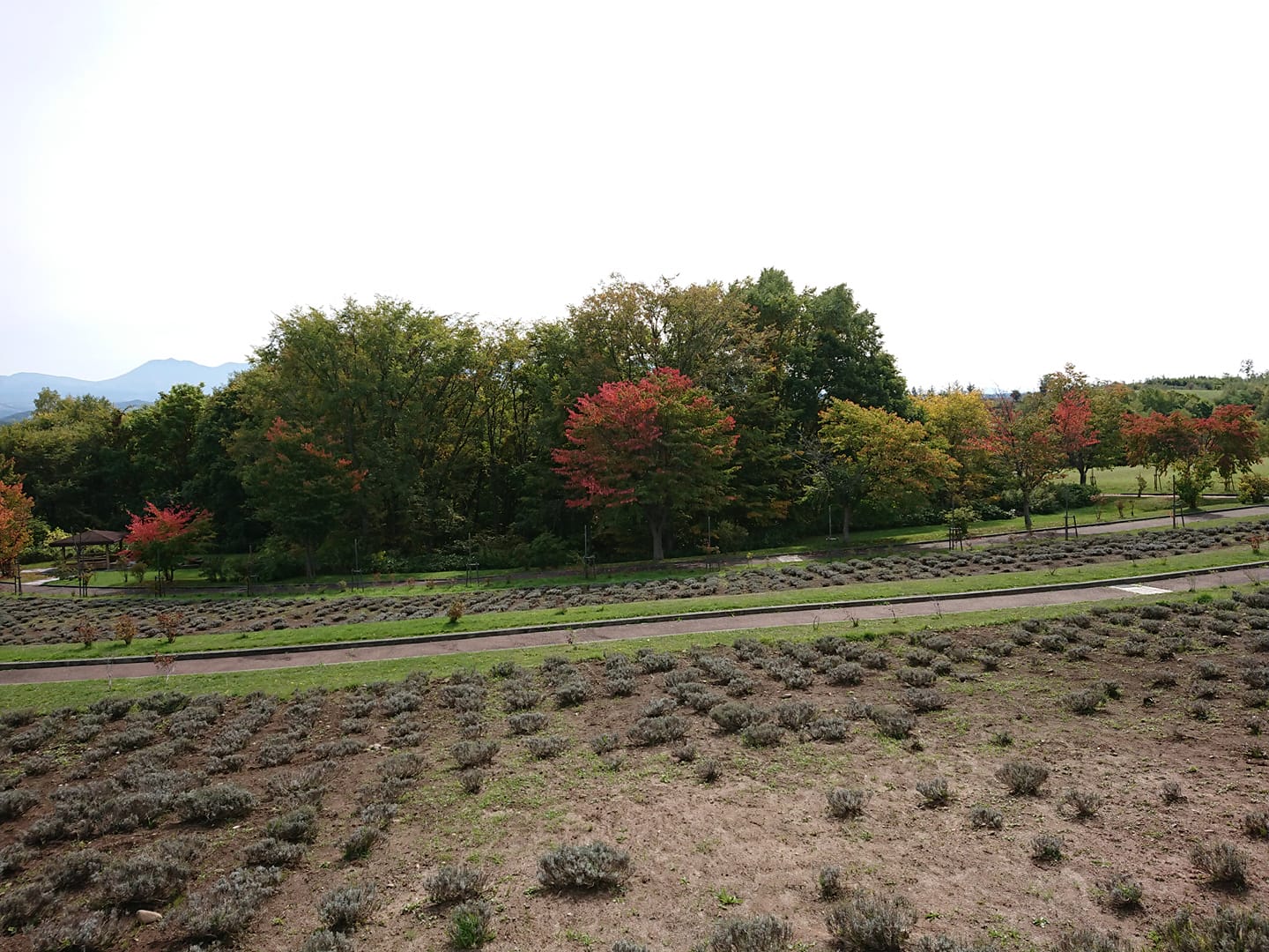 効率よく仕事をするためはエネルギーチャージが必要！