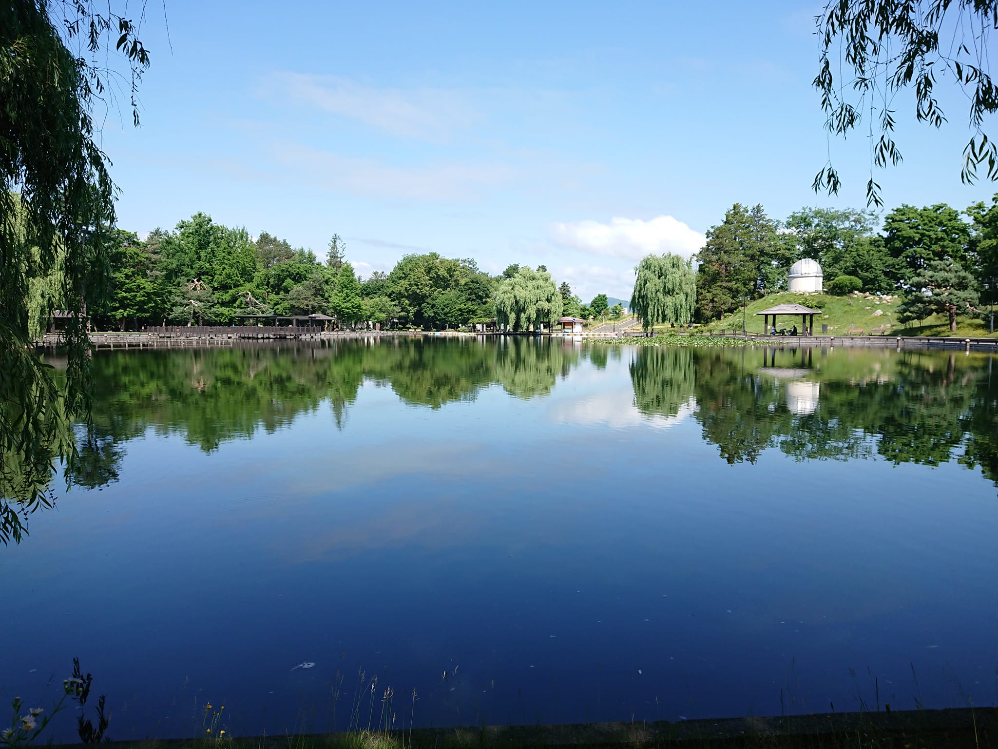 バイオレットが気になる時
