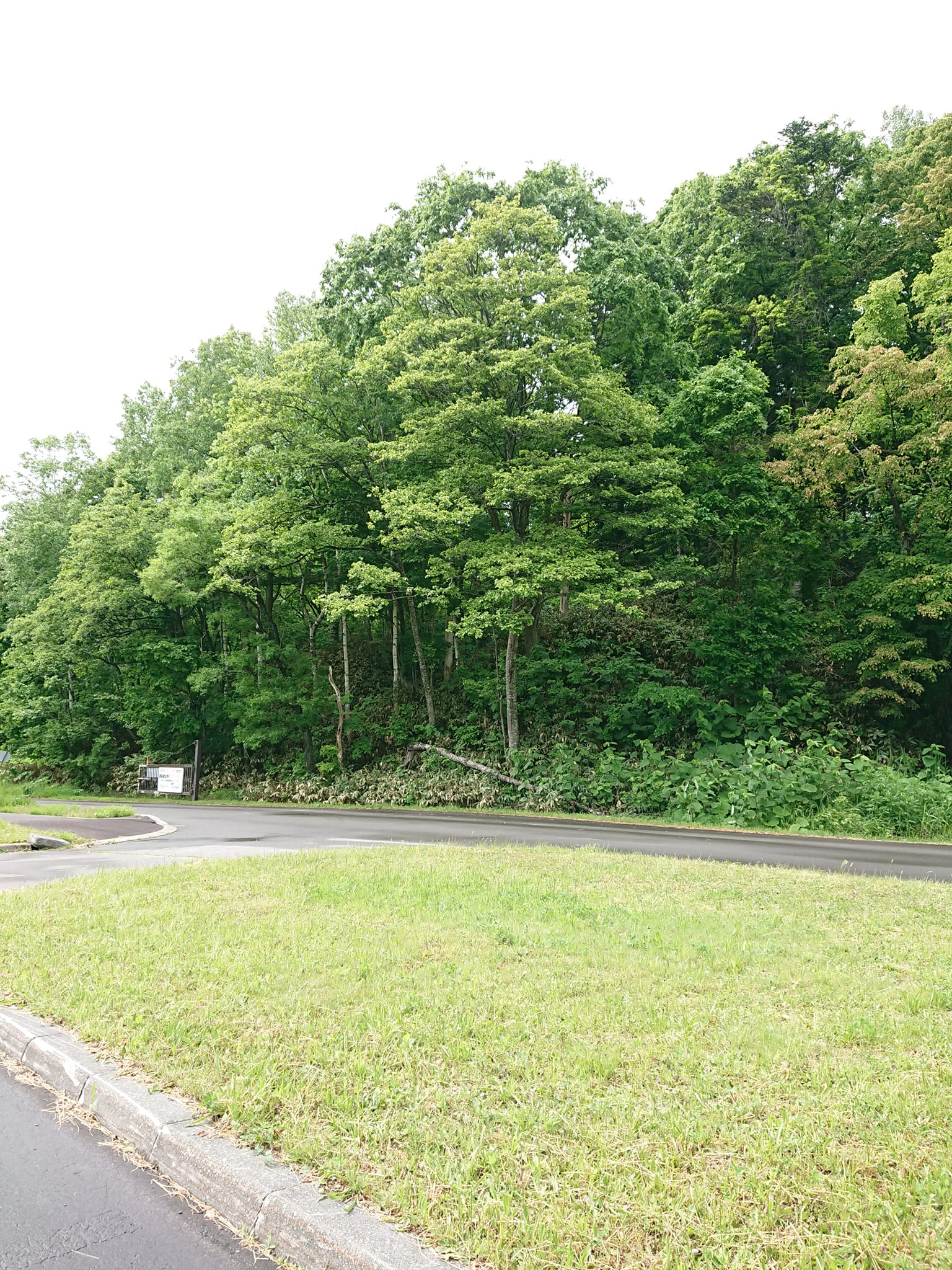 「楽しい」を前提に考える