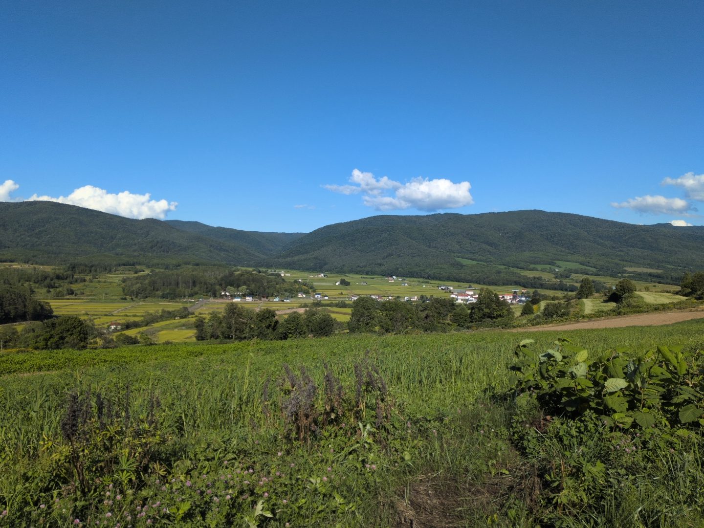 企業研修 in 赤平市