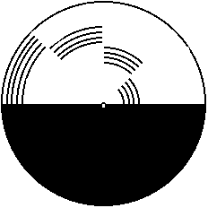 目は騙されている？～白黒なのに色が見える！