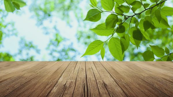 カラーコラージュで野望を叶えた人が続出！今年はあなたも♪