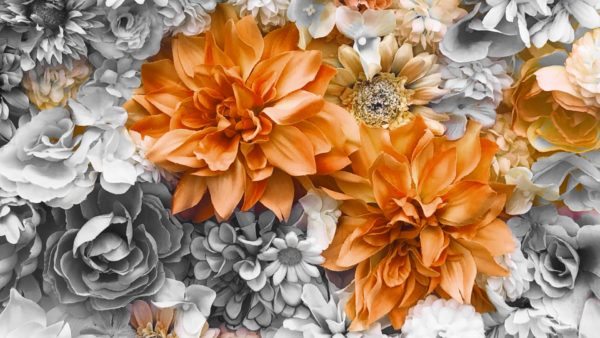 7月８月の講座＆イベント情報