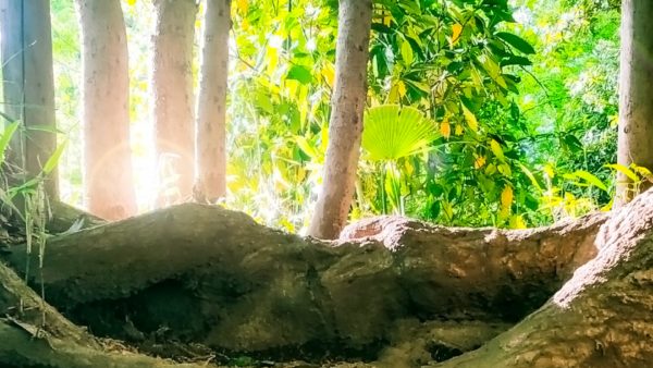 10月の講座案内