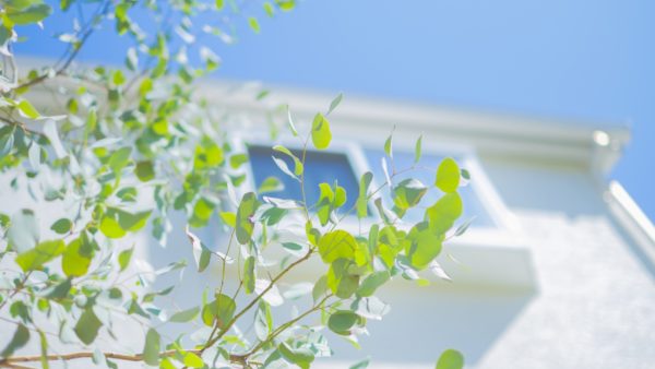 オンラインスクールのお知らせ