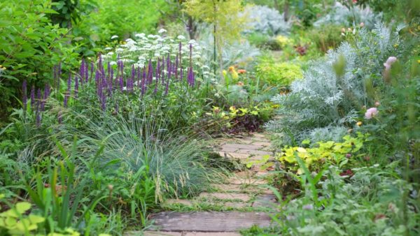 脱・しんどい！　11月イベントのお知らせ