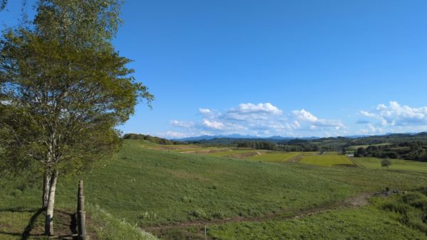 解放感を増し増しにしてくれる色